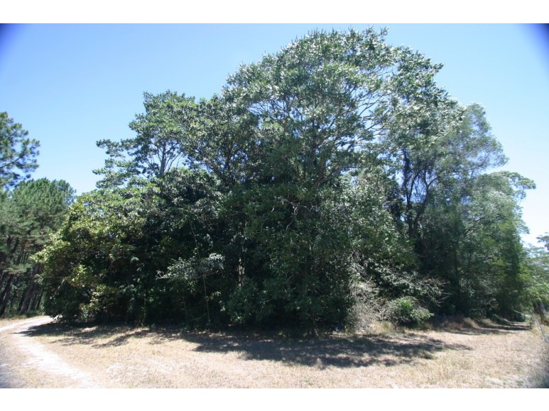 1046 Lake Flat Road, Cootharaba QLD 4565