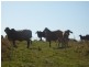 Lot 9 Happy Jack Creek Rd, Cooroy QLD 4563