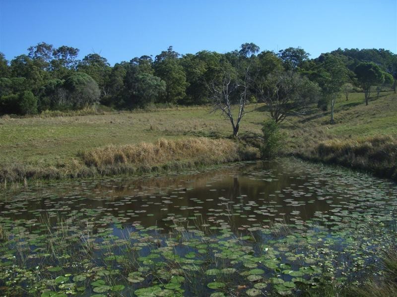 Lot 9 Happy Jack Creek Rd, Cooroy QLD 4563