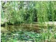 797 Pomona Kin Kin Rd, Kin Kin QLD 4571