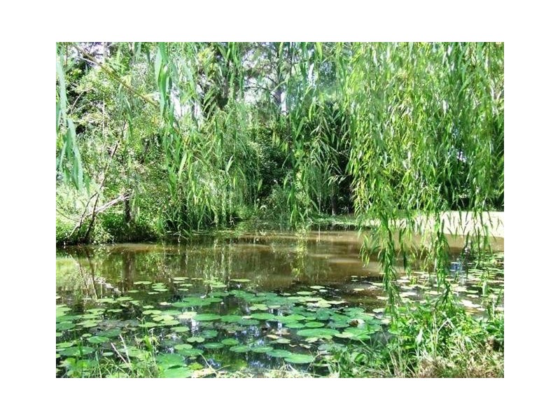 797 Pomona Kin Kin Rd, Kin Kin QLD 4571
