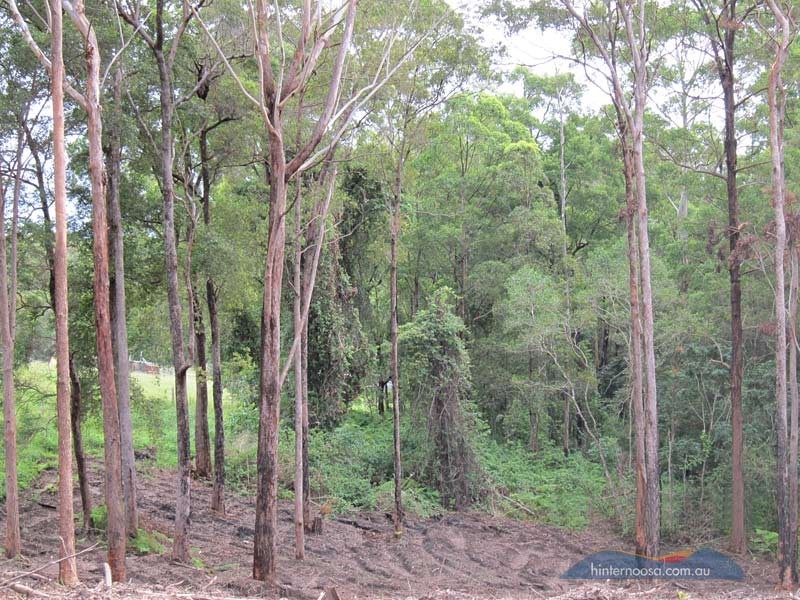 58-90 Dean Rd, Doonan QLD 4562