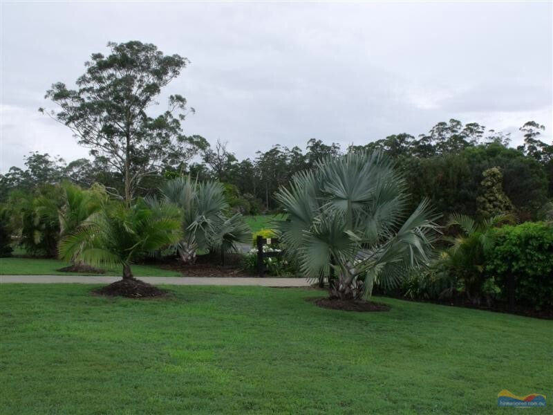 9 Elandra Tce, Pomona QLD 4568