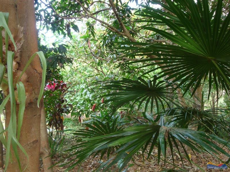 8 Lenske Lane, Cooran QLD 4569