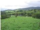Lot 177 Cooroy Belli Creek Road, Cooroy QLD 4563