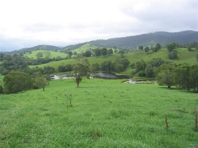 Lot 177 Cooroy Belli Creek Road, Cooroy QLD 4563