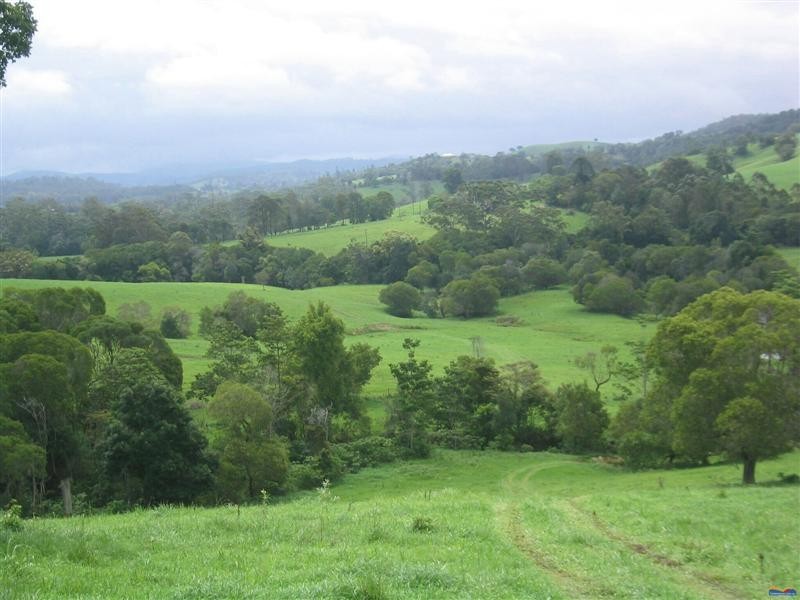 Lot 177 Cooroy Belli Creek Road, Cooroy QLD 4563