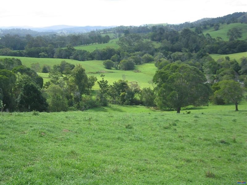 Lot 177 Cooroy Belli Creek Road, Cooroy QLD 4563
