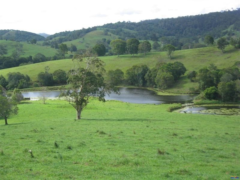 Lot 177 Cooroy Belli Creek Road, Cooroy QLD 4563