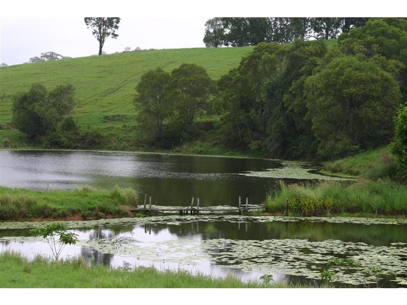 Lot 177 Cooroy Belli Creek Road, Cooroy QLD 4563