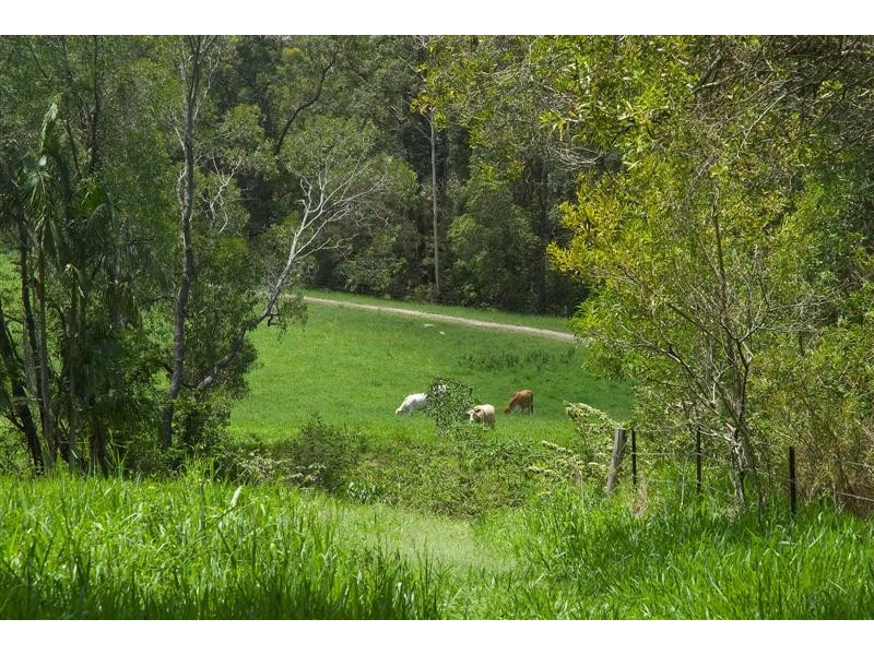 Lot 185 Playfords Road, Cootharaba QLD 4565