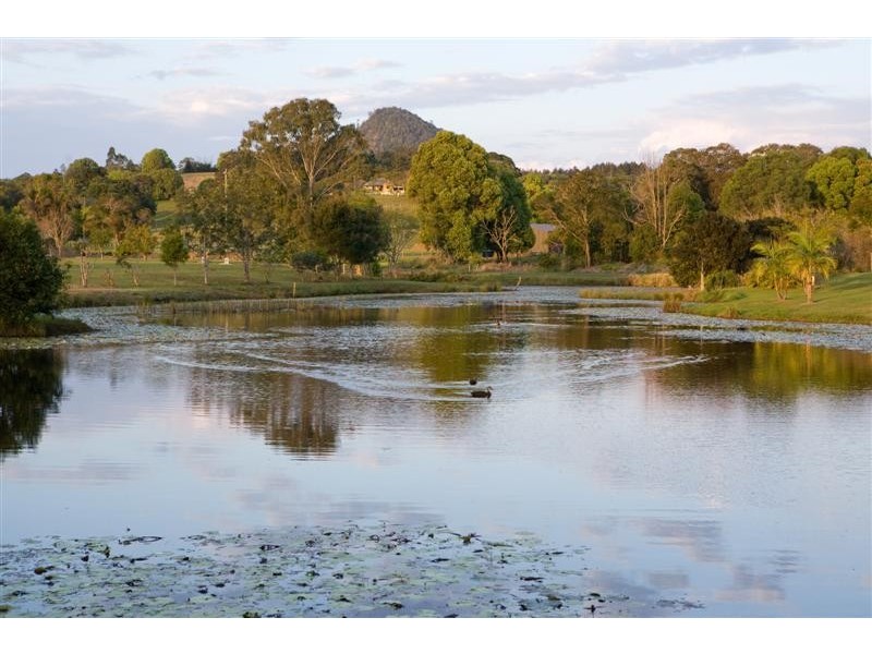 71  Tablelands Road, Cooran QLD 4569