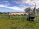 341 Dr Pages Rd, Cootharaba QLD 4565
