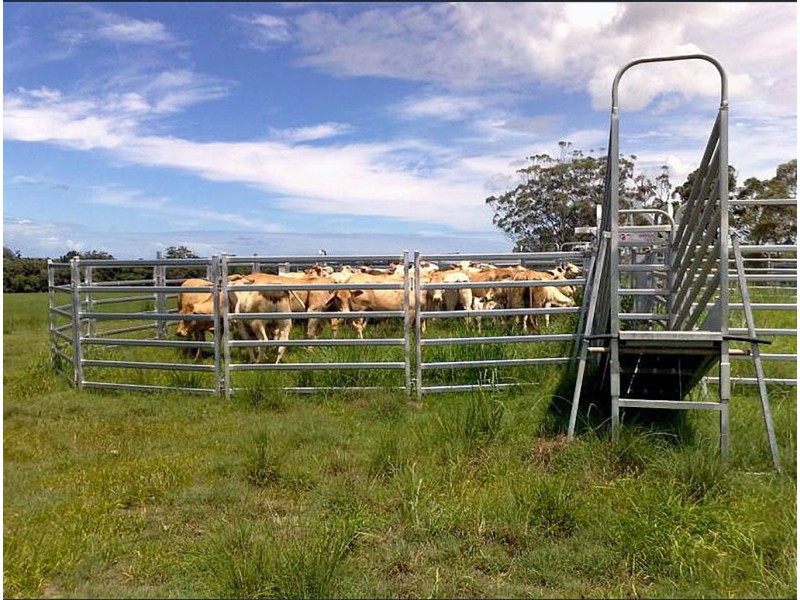 341 Dr Pages Rd, Cootharaba QLD 4565