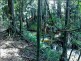 341 Dr Pages Rd, Cootharaba QLD 4565