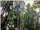 341 Dr Pages Rd, Cootharaba QLD 4565