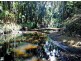 341 Dr Pages Rd, Cootharaba QLD 4565