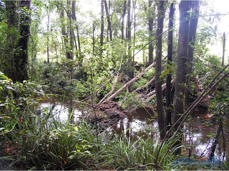 2398 Old Noosa Rd, Cooran QLD 4569