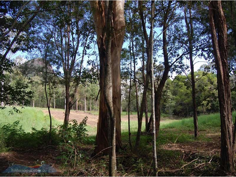 2398 Old Noosa Rd, Cooran QLD 4569