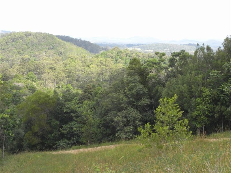 17 Sunrise Road, Eumundi QLD 4562
