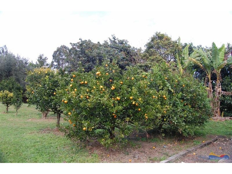 111 Tablelands Rd, Cooran QLD 4569