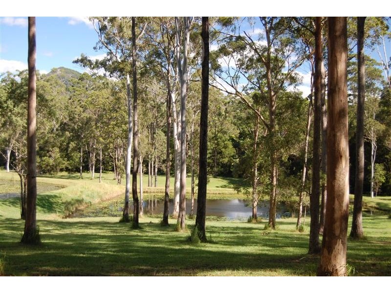 6 Wallaby Lane, Tinbeerwah QLD 4563