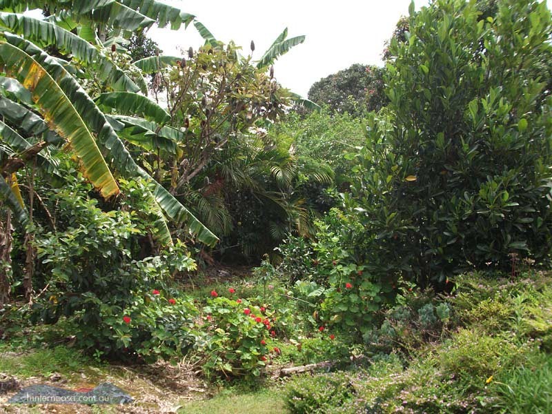 2A Queen St, Cooran QLD 4569