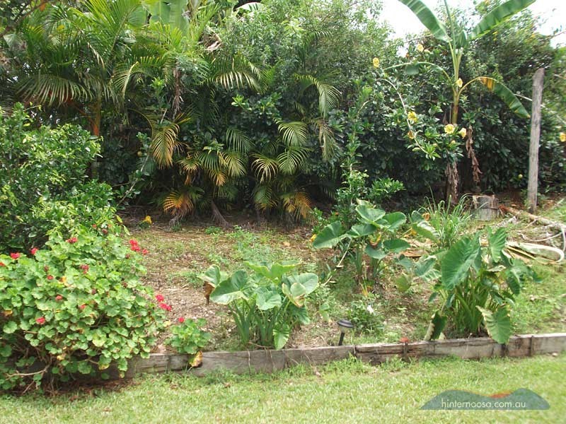 2A Queen St, Cooran QLD 4569