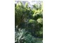 1 Gympie Kin Kin Road, Kin Kin QLD 4571