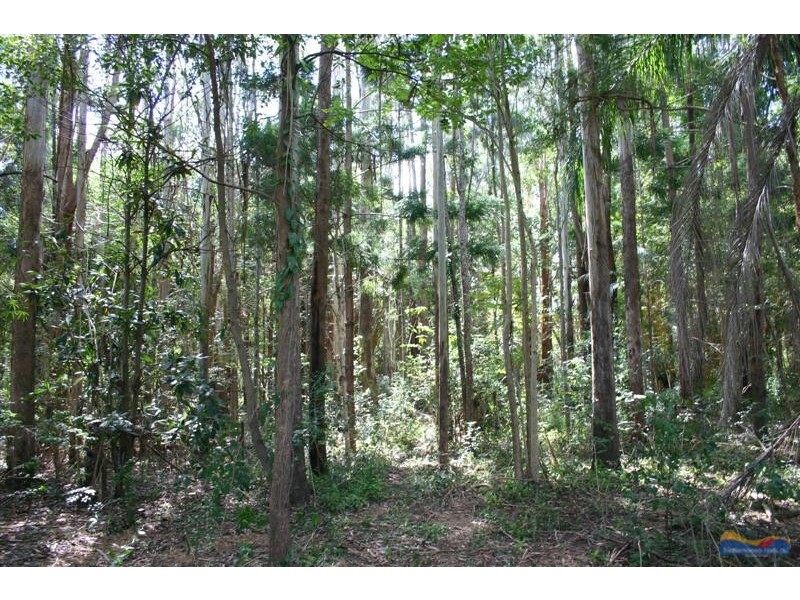 1 Gympie Kin Kin Road, Kin Kin QLD 4571