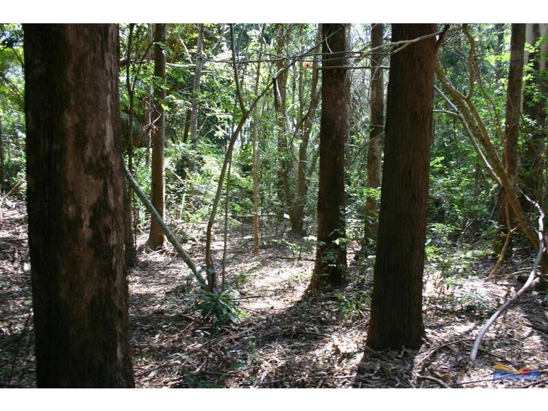 1 Gympie Kin Kin Road, Kin Kin QLD 4571