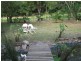 7 Western Branch Rd, Kin Kin QLD 4571