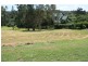 Eumundi QLD 4562