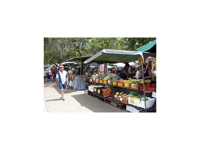 Eumundi QLD 4562