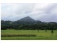 Eumundi QLD 4562