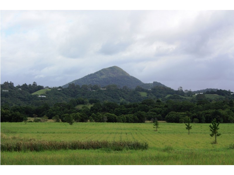 Eumundi QLD 4562