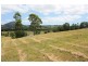 Eumundi QLD 4562