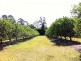 142 Cootharaba Downs Rd, Cootharaba QLD 4565