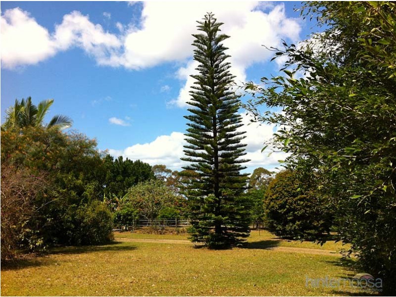 142 Cootharaba Downs Rd, Cootharaba QLD 4565
