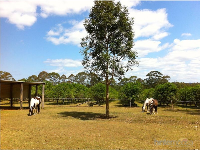 142 Cootharaba Downs Rd, Cootharaba QLD 4565