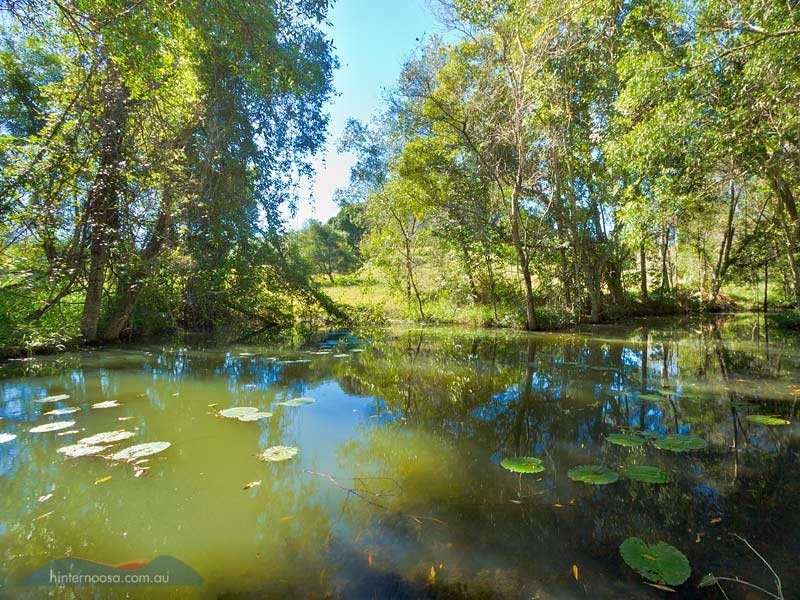 74 Binalong Rd, Pomona QLD 4568