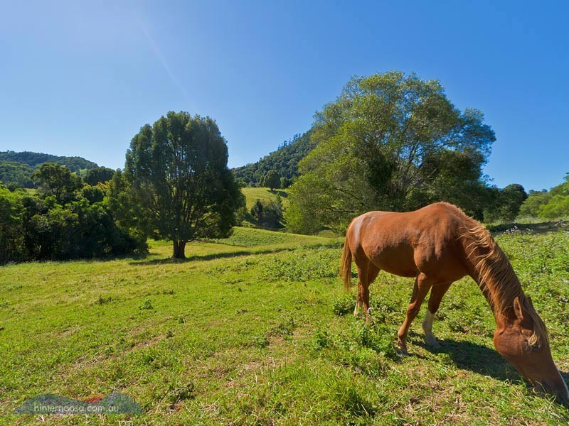 74 Binalong Rd, Pomona QLD 4568