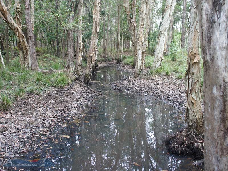 Lot 1 Mary River Rd, Cooroy QLD 4563