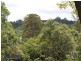 77 (Lot 18) Cedar Springs, Jocelyn Dr, Eumundi QLD 4562