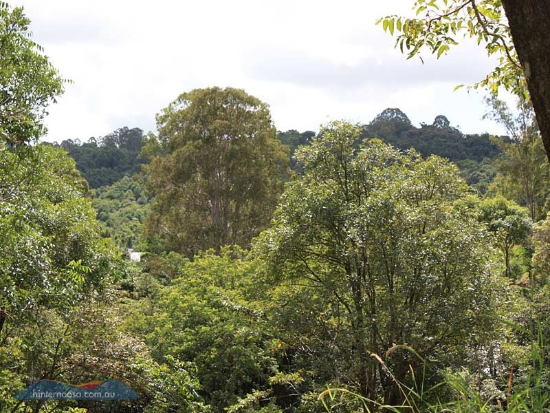 77 (Lot 18) Cedar Springs, Jocelyn Dr, Eumundi QLD 4562