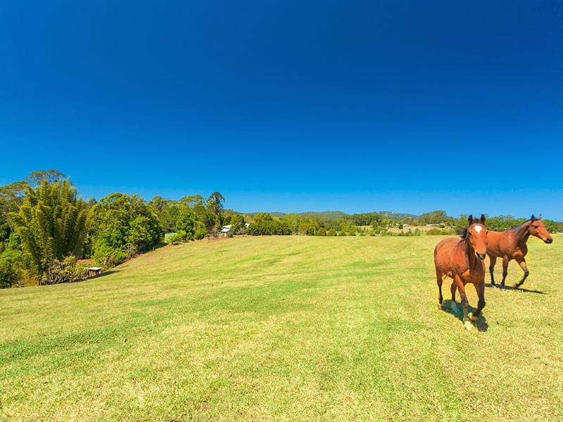 129 Gold Creek Road, North Arm QLD 4561