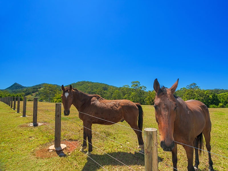 129 Gold Creek Road, North Arm QLD 4561