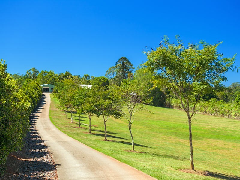 129 Gold Creek Road, North Arm QLD 4561