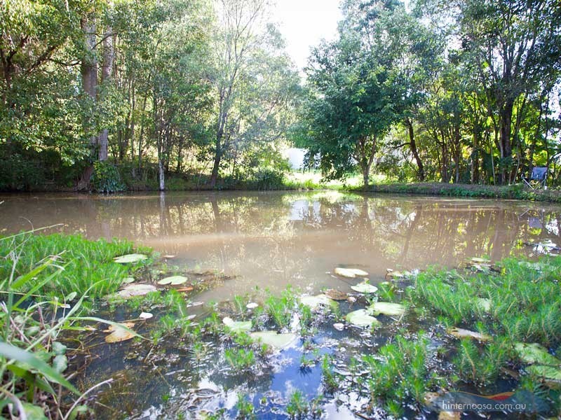 323 Middle Creek Road, Pomona QLD 4568