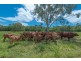 Lot 13 Echidna Lane, Lake Macdonald QLD 4563